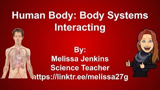 Human Body Body Systems Interacting [upl. by Shiroma]