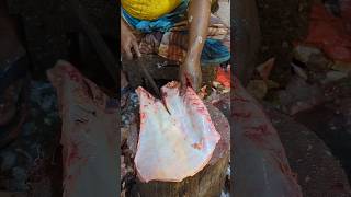 Amazing Huge 20KG Pangas Fish Cutter Skills By The Expert Fish Cutter  Part4 shorts [upl. by Eiliah]