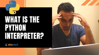 What is the Python Interpreter How does Python Work [upl. by Brenk944]