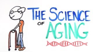 The Science of Aging [upl. by Kuster]