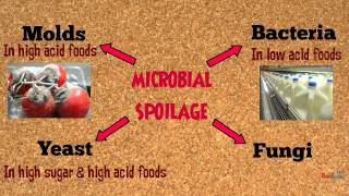 Food Spoilage Microorganisms [upl. by Rehptosirhc884]