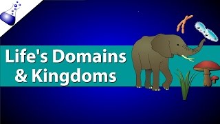 Domains and Kingdoms of life [upl. by Waltner733]