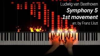 BeethovenLiszt  Symphony 5 1st Movement 25k subs special [upl. by Gaylene]