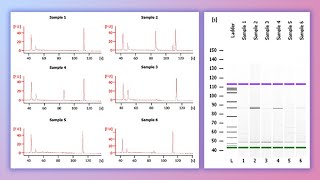 Forensic DNA Profiling Part I [upl. by Oicram]