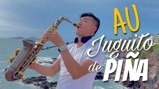 Juguito De Piña Saxofón AU [upl. by Shank]