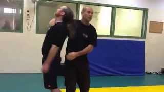 Eyal Yanilov  Krav Maga VIP Protection  Demonstration [upl. by Esiuqram223]