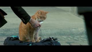 A Street Cat Named Bob  Meeting Bob Featurette  At Cinemas November 4 [upl. by Dihgirb]