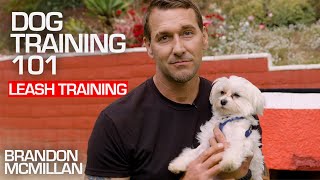 Dog Training 101 Leash Training  Brandon McMillan [upl. by Cinda487]