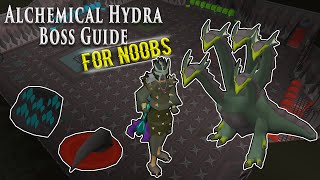 OSRS Hydra Boss Guide for Noobs [upl. by Einiffit]