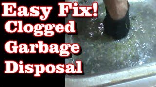 Clogged Garbage Disposal EASY FIX [upl. by Pedaias]