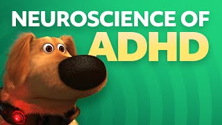 What is ADHD [upl. by Eirhtug]