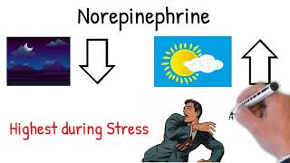 SNRI Antidepressant Mnemonic Review for NCLEX  How SNRIs Work Nursing Pharmacology [upl. by Luce]