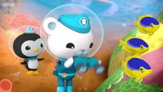 Octonauts The Damselfish [upl. by Eelymmij]