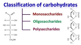 Carbohydrates  classification of carbohydrates [upl. by Assed207]