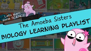 Amoeba Sisters Biology Learning Playlist Introduction [upl. by Anitnauq]