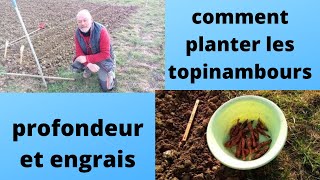 comment planter les topinambours et heliantis [upl. by Heins]