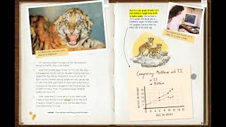 HMH Read Aloud  TJ The Siberian Tiger Cub  3rd grade [upl. by Neelhtakyram]