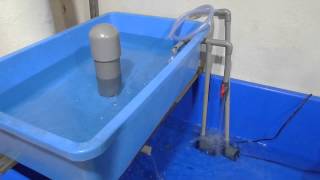 Basic Aquaponics  Siphon Water Test [upl. by Kristian860]