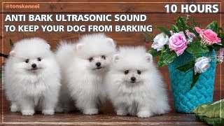 10 Hours Ultrasonic Sound To Stop Your Dog From Barking  Anti Bark Control [upl. by Reema]