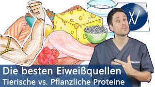 Die besten Eiweißquellen für Muskelaufbau amp Immunsystem Pflanzliche vs tierische Proteinquellen [upl. by Leira]