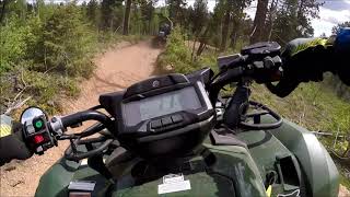 2019 Yamaha Kodiak 700 EPS trail riding on the 717A  part 1 [upl. by Sinne843]