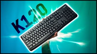 Best Keyboard Under 20 Logitech K120 Review [upl. by Midas]