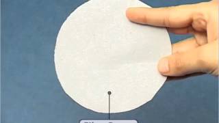 Sedimentation Decantation and Filtration  DM  Class 6 [upl. by Raffarty]