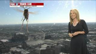 Bee attacks Meteorologist Jennifer Ketchmark during weather forecast [upl. by Kunz]