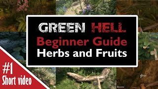 GREEN HELL BEGINNER GUIDE HERBS AND FRUITS 2020 [upl. by Perri744]