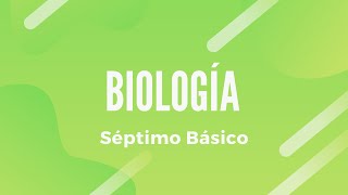 BIOLOGÍA  Respuesta Inmune Ante Patógenos 7° Básico  Clase N°4 [upl. by Gibrian]