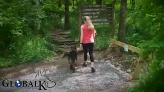 German Shepherd Protecting Owner On A Hike [upl. by Docila]