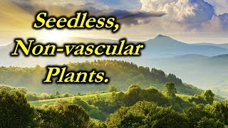 Chap 21  video  Seedless Nonvascular plants [upl. by Mercedes757]