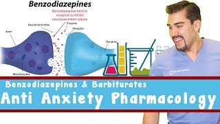 Anti Anxiety Pharmacology Benzodiazepines and Barbiturates [upl. by Enairb273]