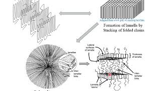 Polymer Crystallization [upl. by Radley]