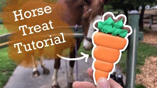 HOW TO MAKE HANDMADE HORSE TREATS I COMPLETE TUTORIAL [upl. by Tnemelc]