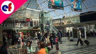 Gare De Lyon Train Terminal in Paris  Explore France [upl. by Maise574]