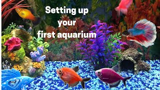 Beginners First Aquarium  How to Set up Your First Fish Tank [upl. by Vachell]