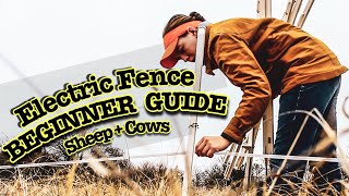 HOW TO INSTALL ELECTRIC FENCE FOR SHEEP AND COWS [upl. by Llerred239]