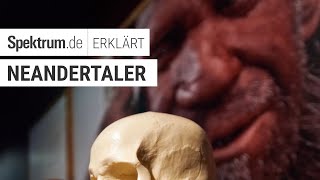 Neandertaler Spektrum erklärt [upl. by Cirted]