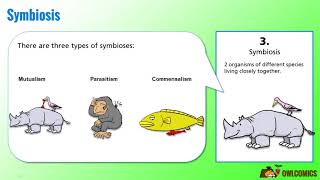 Science Cartoon Symbiosis Predation and Competition [upl. by Aralc845]