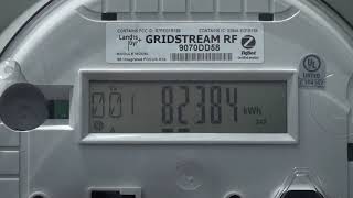 How to Read Your AMI Meter [upl. by Waltner]