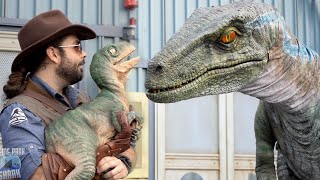 Jurassic World Raptor Experience Universal Studios [upl. by Primavera57]