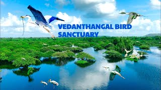 Vedanthangal Bird Sanctuary one day trip [upl. by Ydor]