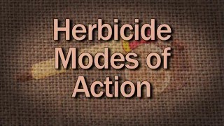 Herbicide Modes Of Action  Family Plot [upl. by Shushan]