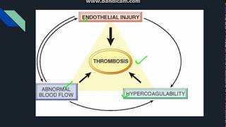 Thrombosis [upl. by Ajnos]