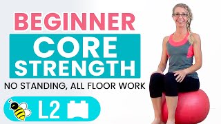 BEGINNER CORE  15 Minute STABILITY BALL Workout for BEGINNERS [upl. by Sachiko]