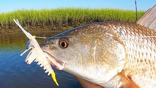 3 Tips To Catch Shallow Water Redfish [upl. by Bette]