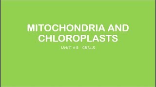 Chloroplasts move under the Microscope [upl. by Eolc]