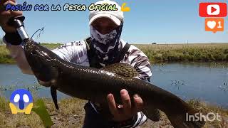 hermosa pesca de Tarariras [upl. by Neeham]