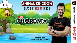 Chordata  Animal Kingdom  CBSE Class 11 Biology Chapter 4  NCERT Biology  NEET Biology [upl. by Blithe]